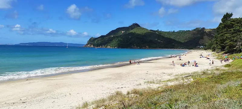 Kuaotunu Beach on a summer afternoon, with swimmers and the headland behind