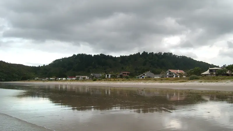 Matarangi Beach at low tide, with the headland and houses behind