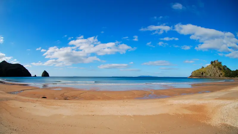 New Chums Beach: golden sand between bush-covered headlands