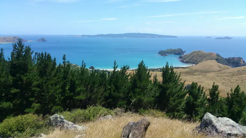 Looking out over the Opito coast to the offshore islands