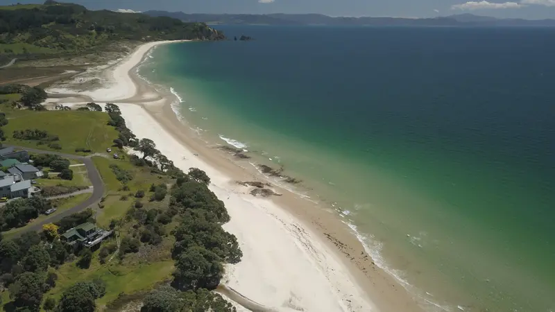 Aerial view of Otama Beach: a long curve of white sand and clear green water