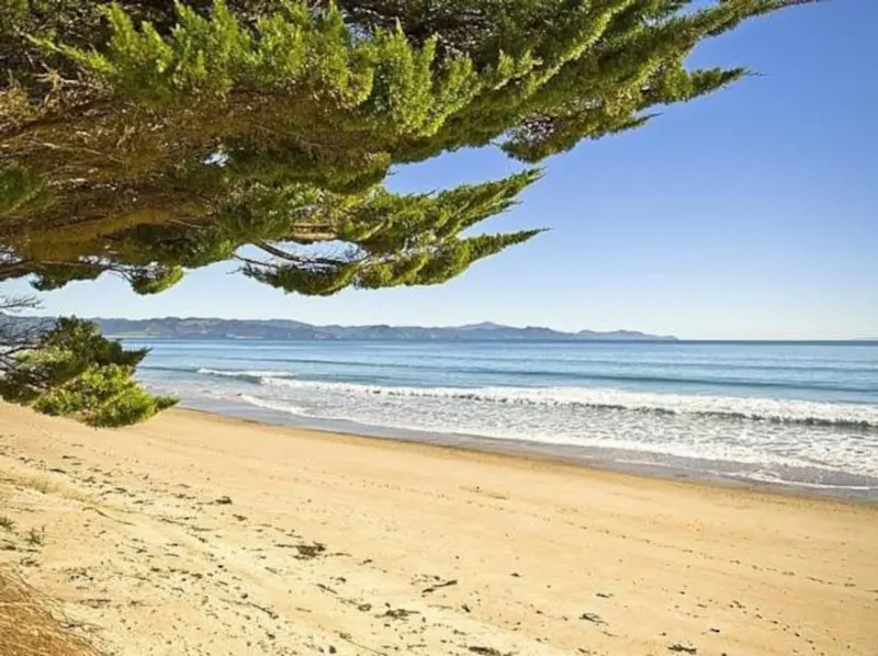 Kuaotunu Beachfront, photo 10