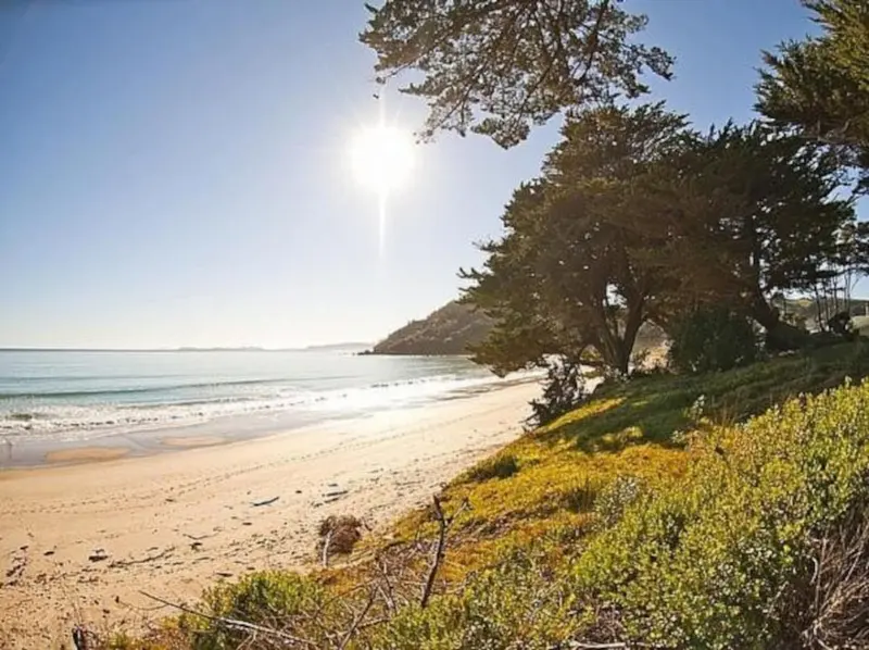 Kuaotunu Beachfront, photo 11