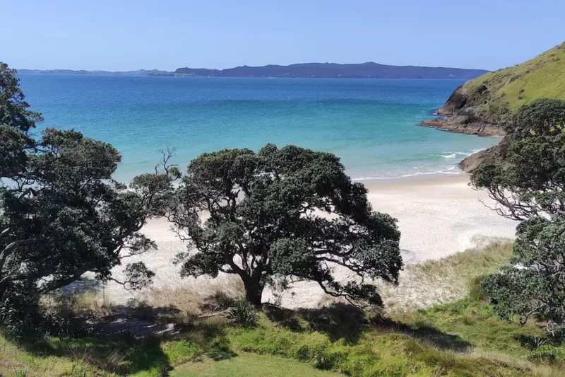 Otama Beachfront, photo 13