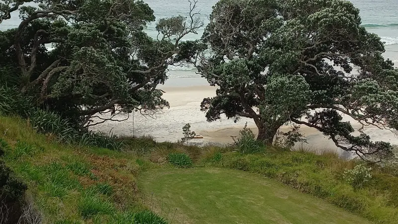 Otama Beachfront, photo 26